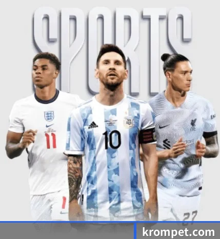 五大服务分区,信息按项目分类